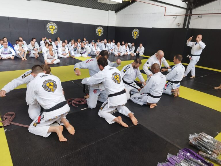 Training partners practise a ground grappling sequence.