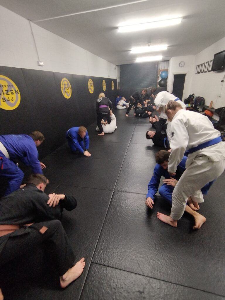 Students drill Brazilian jiu-jitsu techniques across the training mats.